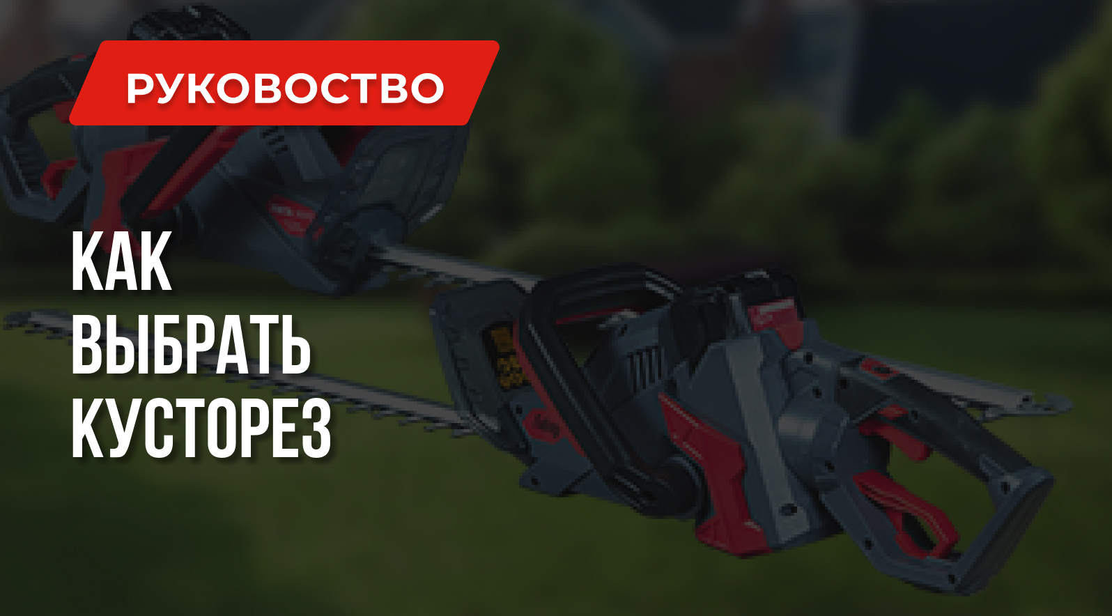 Какой кусторез выбрать в 2022 году | Все о кусторезах Какой кусторез выбрать в 2022 году | Все о кусторезах