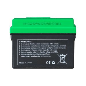 Аккумулятор FUBAG li-ion 3Ah для инверторного генератора TI 11000 A ES (арт. 646211) купить в Москве